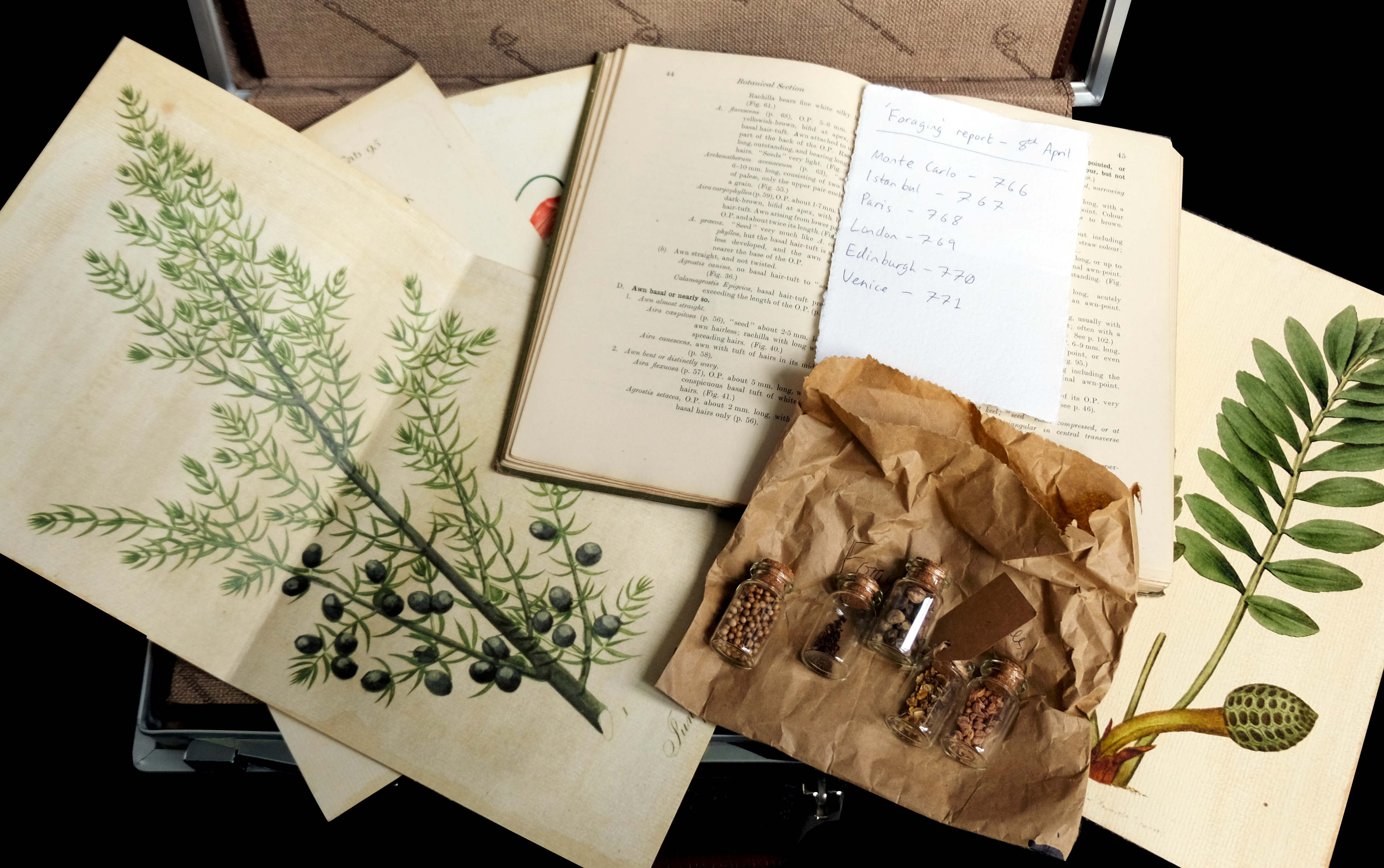 Various botanical paraphernalia will help you identify where the Botanist was kidnapped)